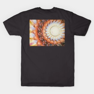 Splendor T-Shirt